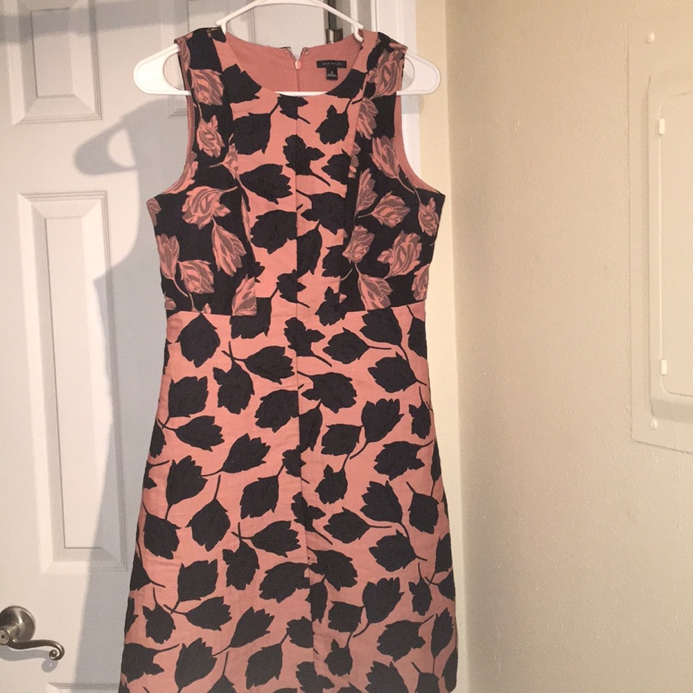 Ann Taylor size 4 shift dress